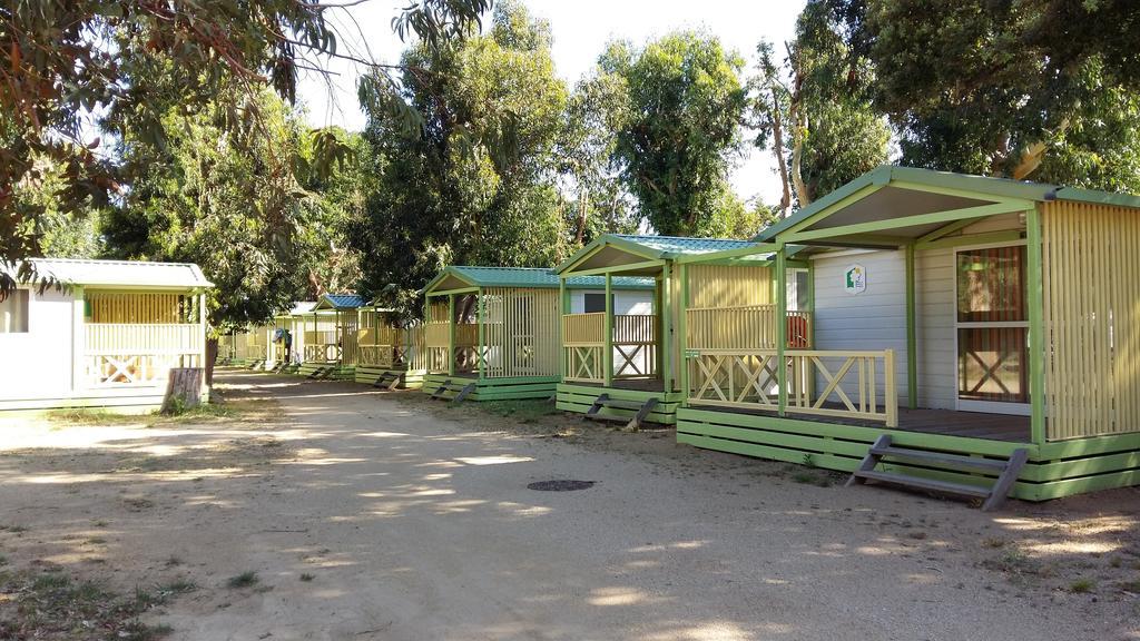 Le Camping De La Plage Aregno Exterior foto